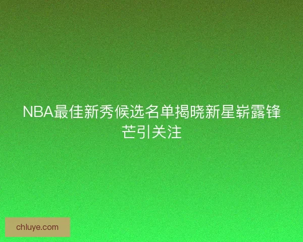 NBA最佳新秀候选名单揭晓新星崭露锋芒引关注