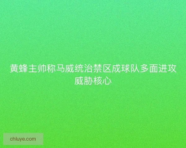 黄蜂主帅称马威统治禁区成球队多面进攻威胁核心 黄蜂主帅称马威统治禁区成球队多面进攻威胁核心